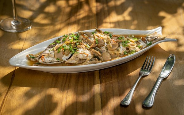 Unlocking Aquatic Harmony: Vital Water Chemistry Tips for Thriving Tropical Fish Tanks